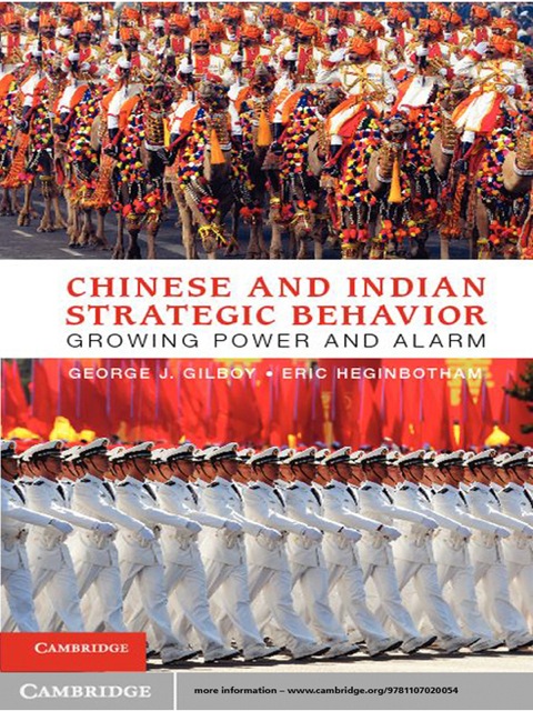 Cover image for book Chinese and Indian Strategic Behavior