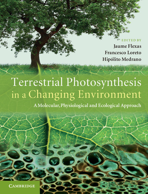 Cover image for book Terrestrial Photosynthesis in a Changing Environment