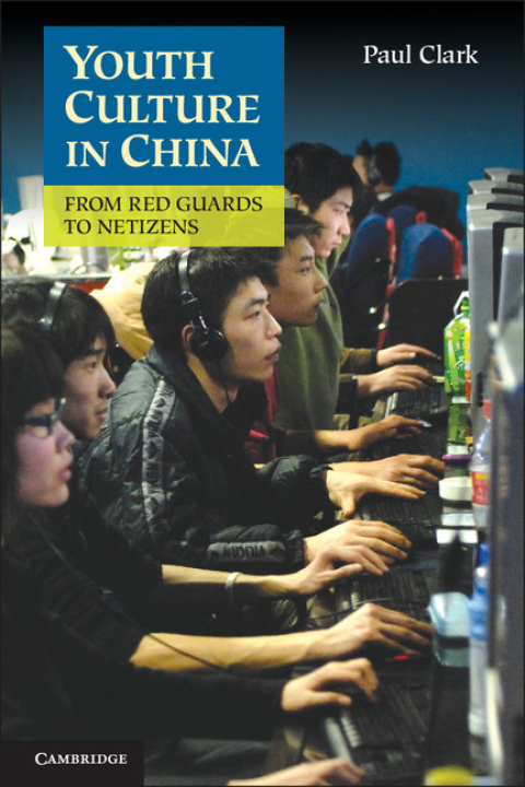 Cover image for book Youth Culture in China