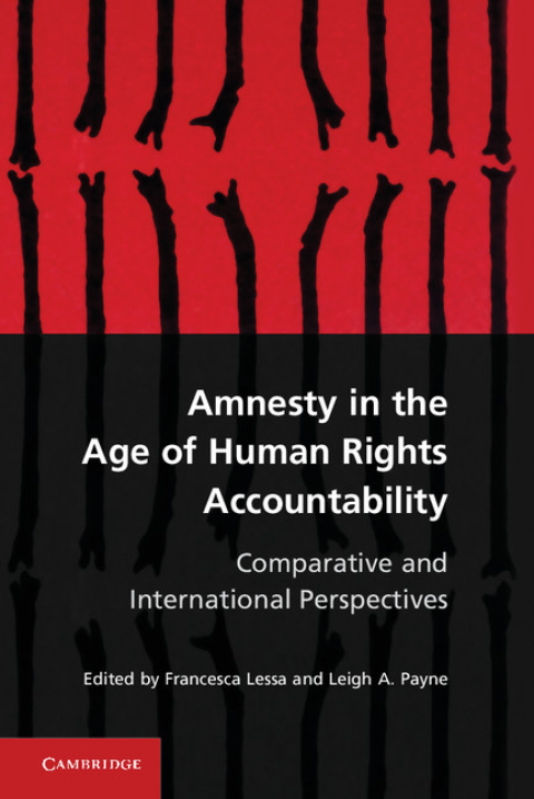 Cover image for book Amnesty in the Age of Human Rights Accountability