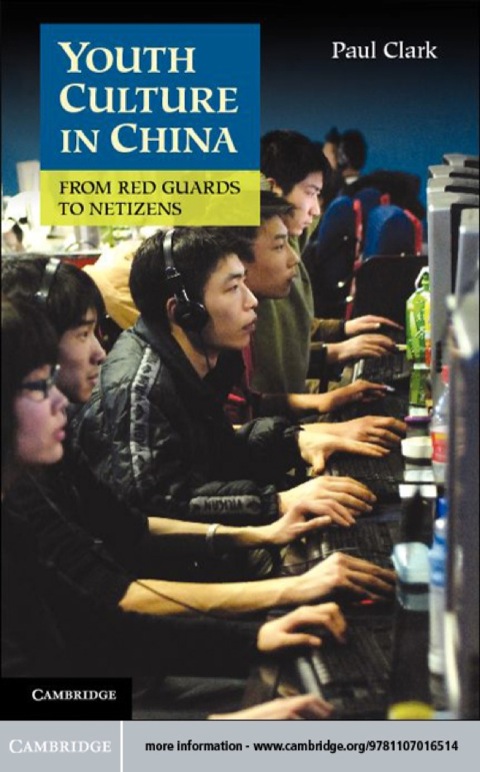 Cover image for book Youth Culture in China