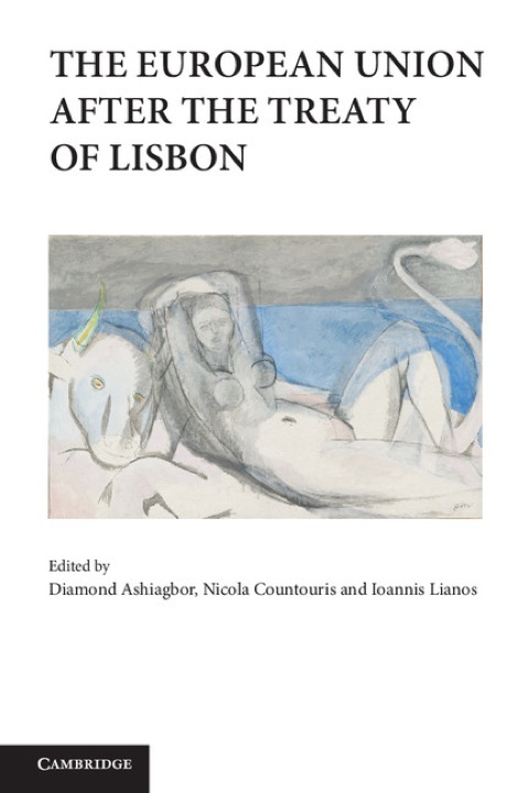 Cover image for book The European Union after the Treaty of Lisbon