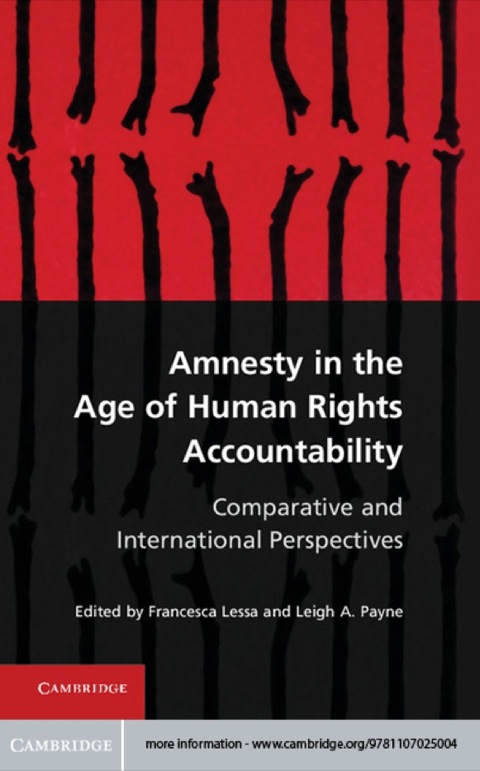 Cover image for book Amnesty in the Age of Human Rights Accountability