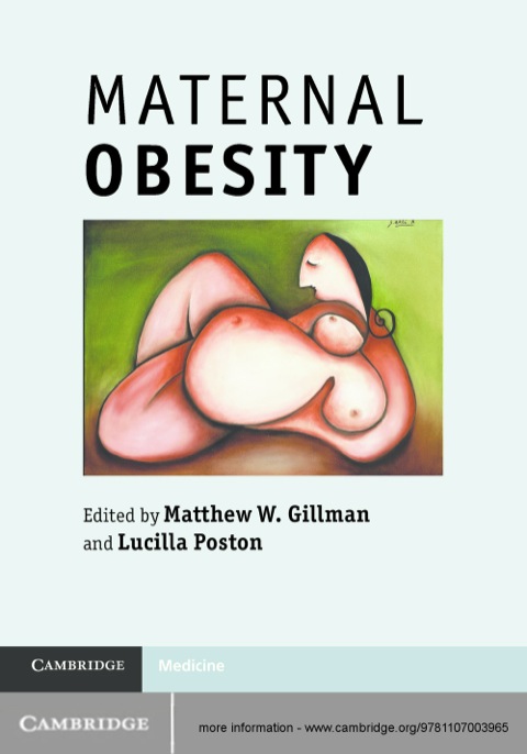 Cover image for book Maternal Obesity