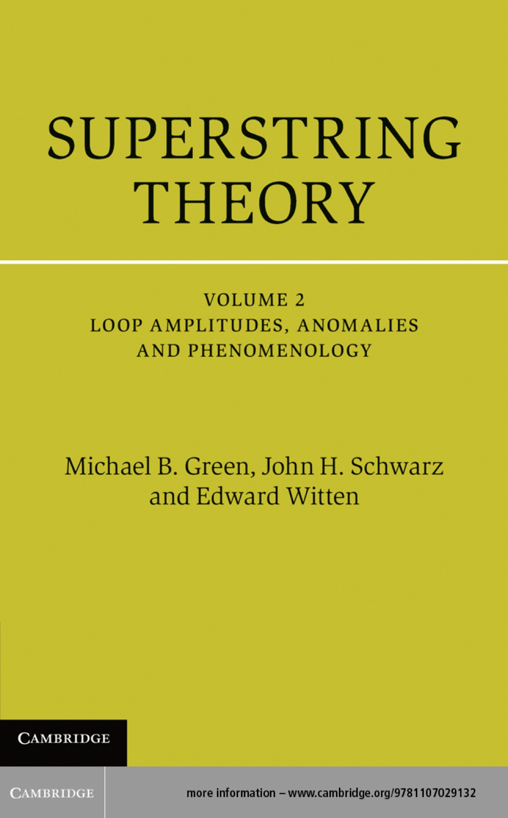Reflowable Superstring Theory: Volume 2, Loop Amplitudes, Anomalies and Phenomenology; $84.00
