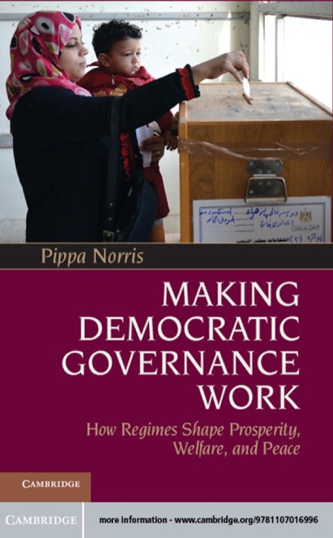 Cover image for book Making Democratic Governance Work