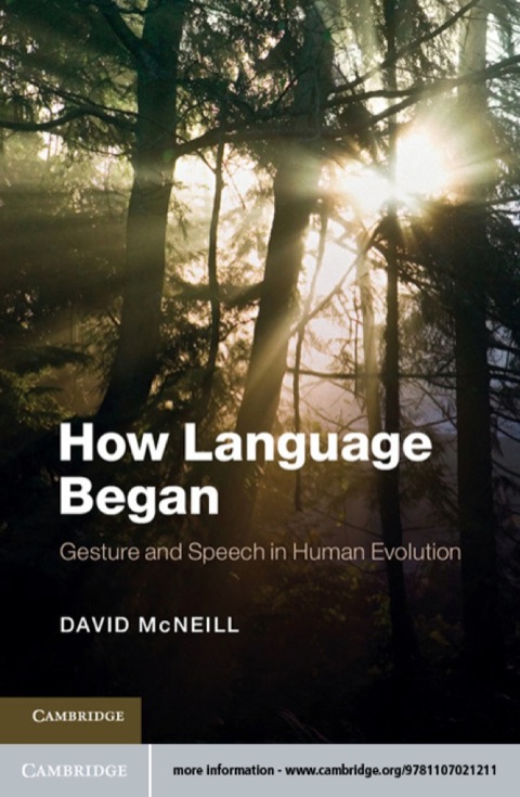 Cover image for book How Language Began