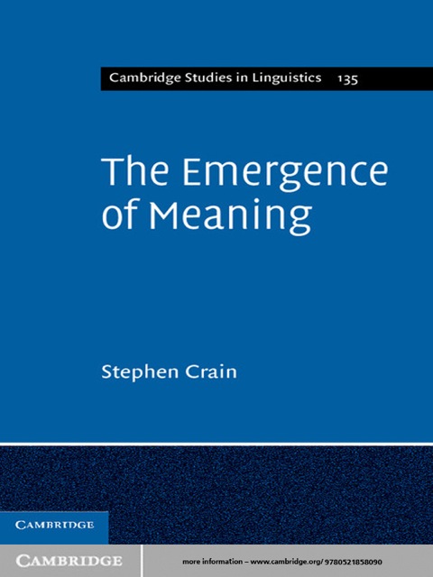 The Emergence of Meaning 