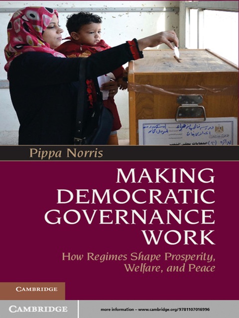 Making Democratic Governance Work 