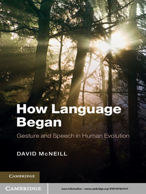 Cover image for book How Language Began