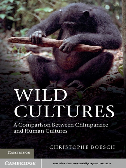 Cover image for book Wild Cultures