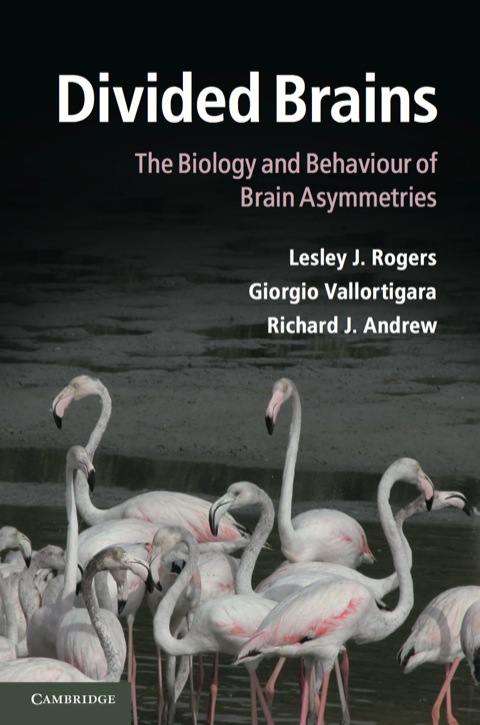 Cover image for book Divided Brains