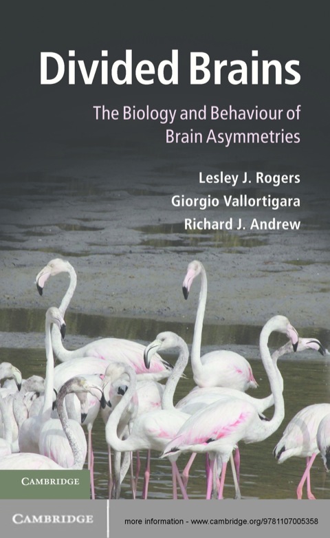 Cover image for book Divided Brains