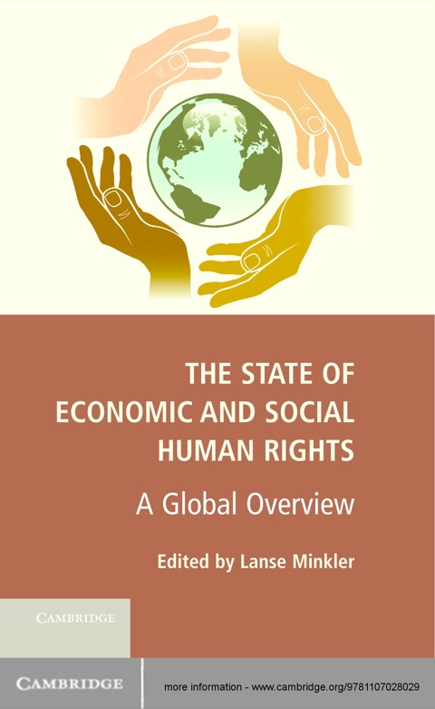 Cover image for book The State of Economic and Social Human Rights