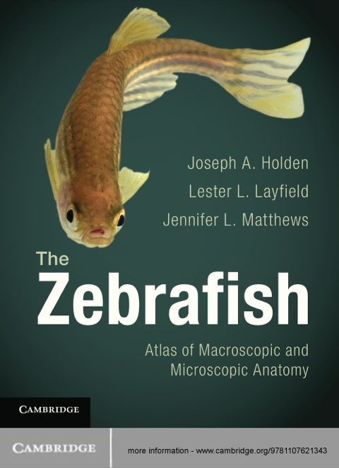 Cover image for book The Zebrafish