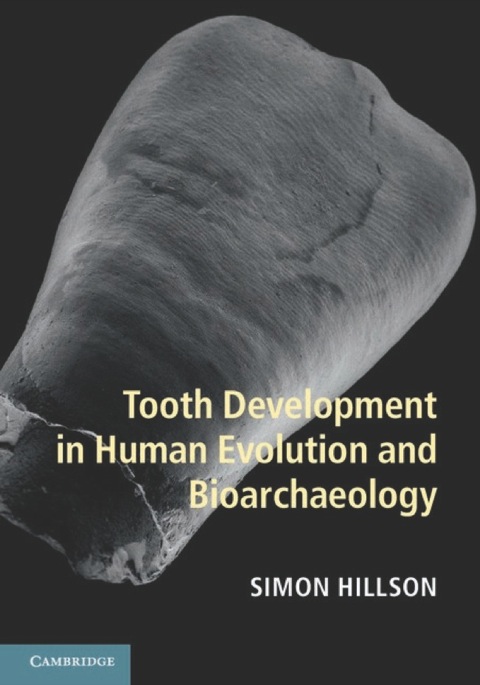 Tooth Development in Human Evolution and Bioarchaeology 