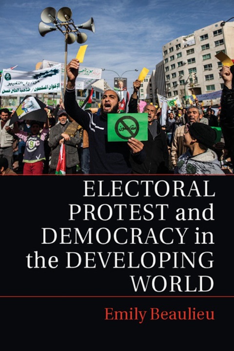 Cover image for book Electoral Protest and Democracy in the Developing World
