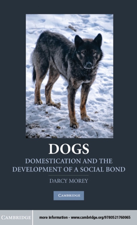 Cover image for book Dogs