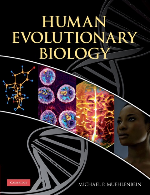 Cover image for book Human Evolutionary Biology
