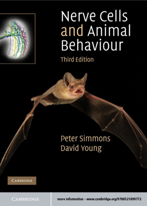 Nerve Cells and Animal Behaviour 