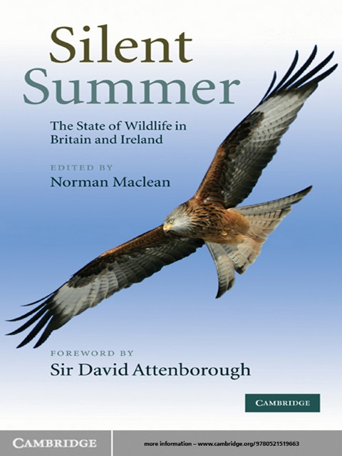 Cover image for book Silent Summer