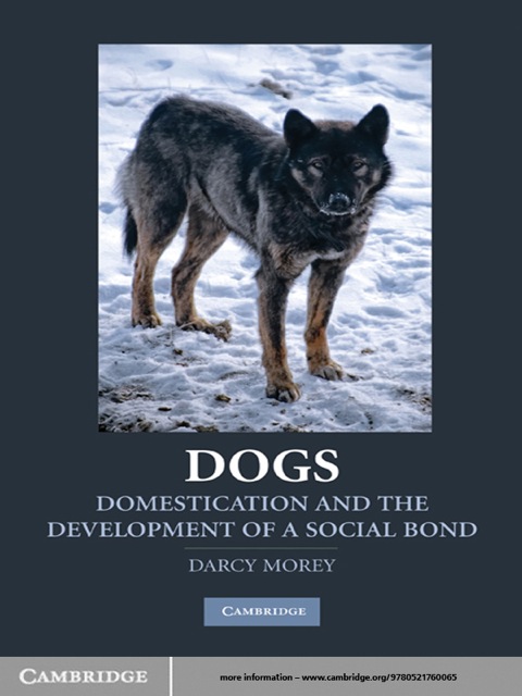 Cover image for book Dogs