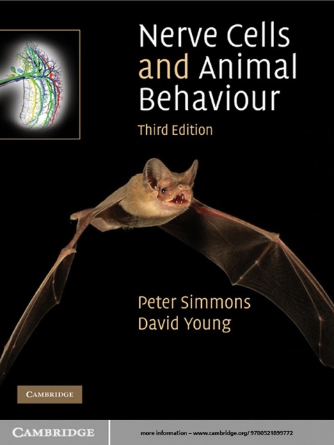 Nerve Cells and Animal Behaviour 