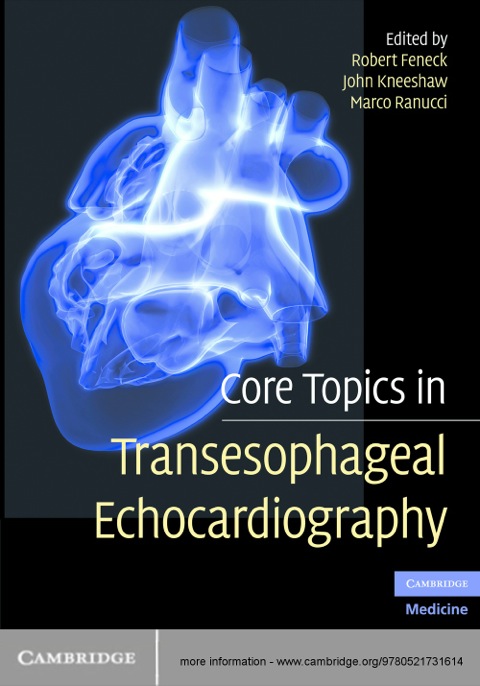 Cover image for book Core Topics in Transesophageal Echocardiography