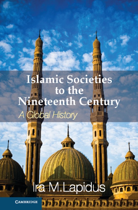 Cover image for book Islamic Societies to the Nineteenth Century