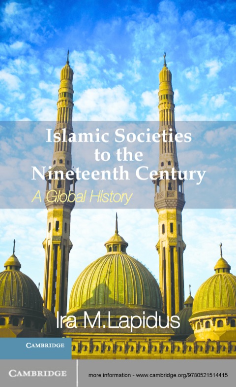 Cover image for book Islamic Societies to the Nineteenth Century