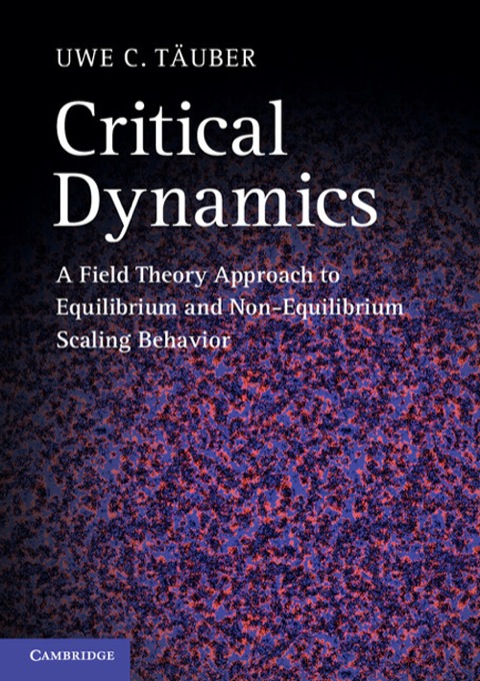 Cover image for book Critical Dynamics