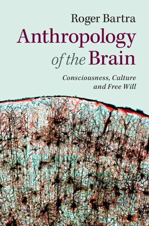 Cover image for book Anthropology of the Brain