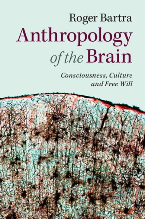Cover image for book Anthropology of the Brain