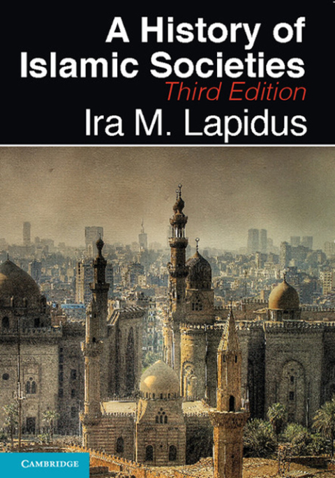 Cover image for book A History of Islamic Societies