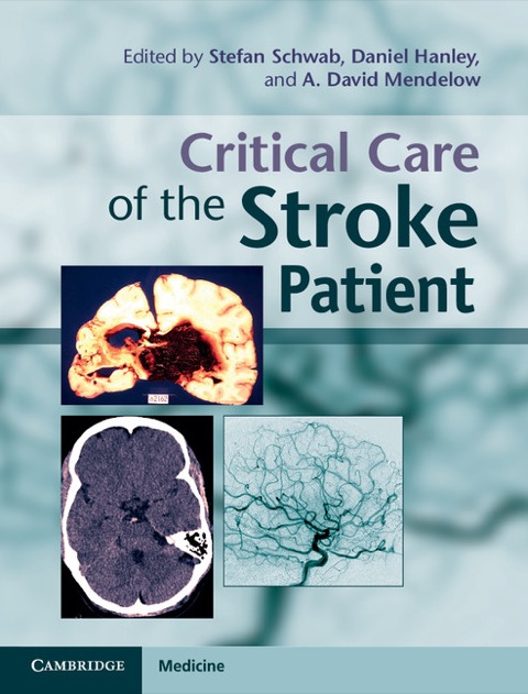 Cover image for book Critical Care of the Stroke Patient
