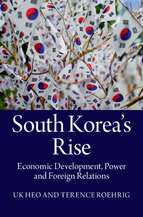 Cover image for book South Korea's Rise