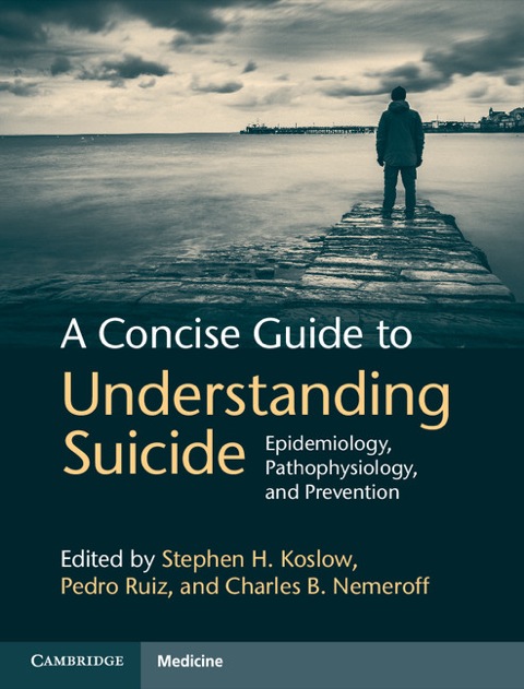 Cover image for book A Concise Guide to Understanding Suicide