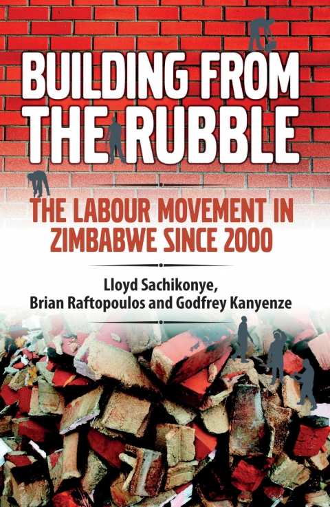 Cover image for book Building from the Rubble