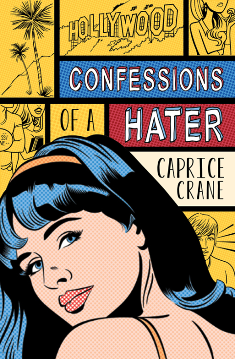 Cover image for book Confessions of a Hater