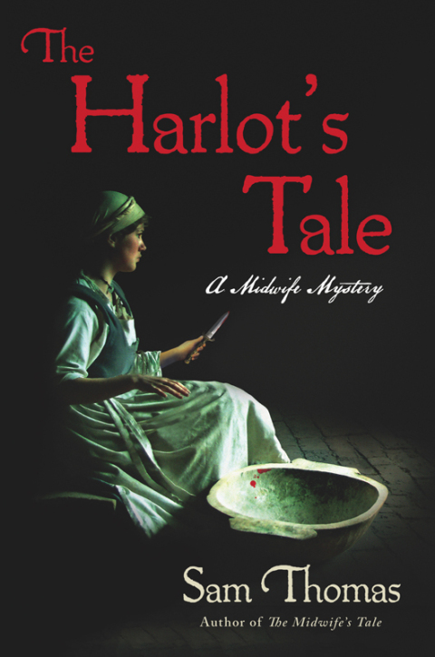 Cover image for book The Harlot's Tale