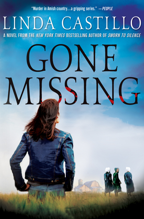 Cover image for book Gone Missing