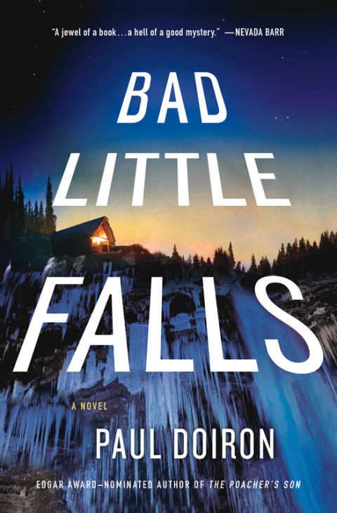 Cover image for book Bad Little Falls
