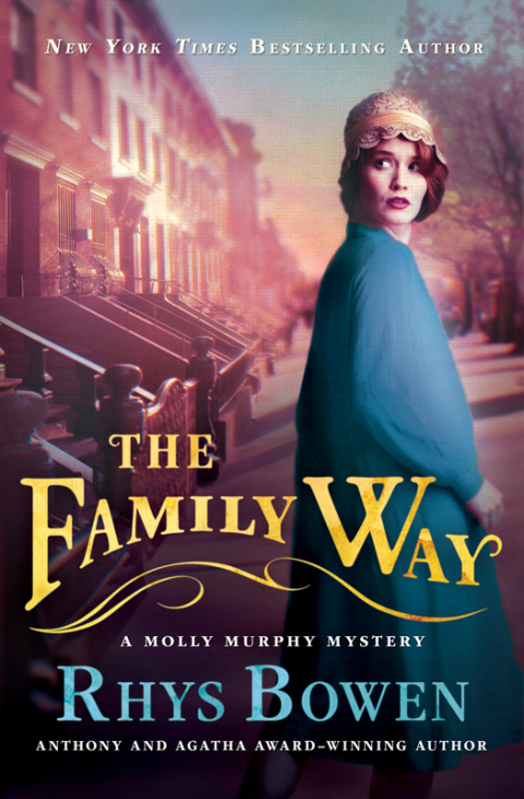 Cover image for book The Family Way