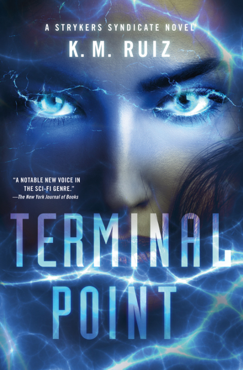 Cover image for book Terminal Point