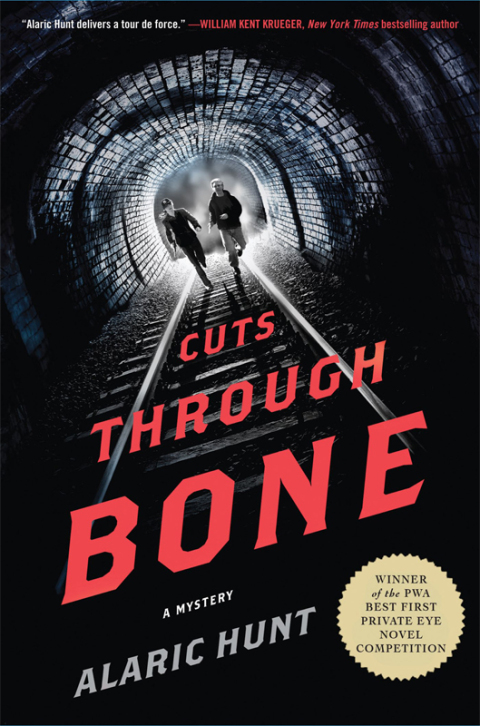 Cover image for book Cuts Through Bone