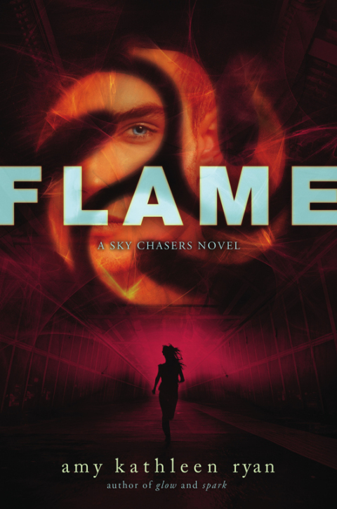 Cover image for book Flame