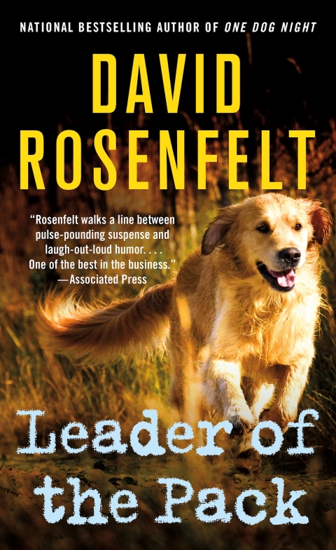 Cover image for book Leader of the Pack