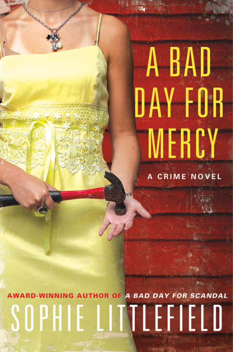 Cover image for book A Bad Day for Mercy