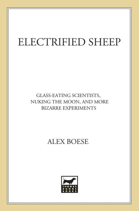 Cover image for book Electrified Sheep