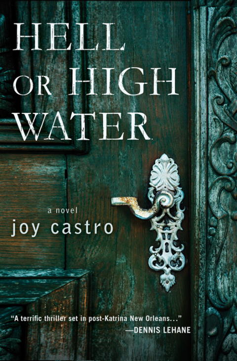 Cover image for book Hell or High Water